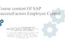 give consultant level training on sf employee central
